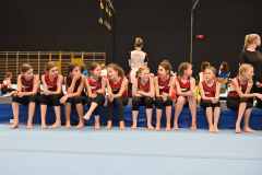 Bezirksturnfest_r1_23_039