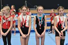 Bezirksturnfest_r1_23_074