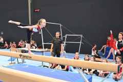 Bezirksturnfest_r2_23_037