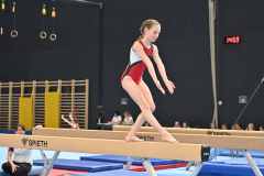 Bezirksturnfest_r2_23_050