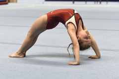 Bezirksturnfest_r2_23_090