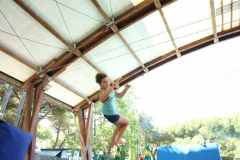 TRL_Cese_25_028
