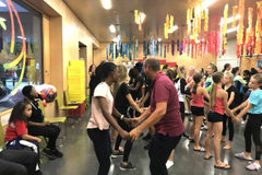 WG_work_19_036