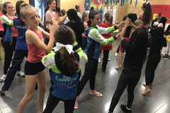 WG_work_19_037