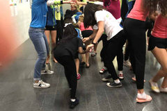 WG_work_19_038
