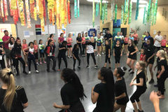 WG_work_19_041