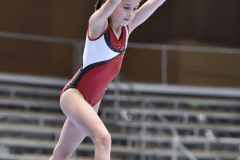 LM_KUTU_SAr1_25_108