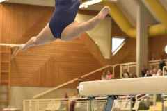 LM_SO-r2_23_010