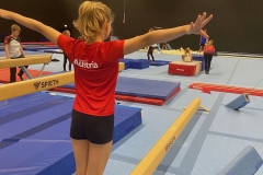 Sommercamp Kunstturnen  + Turn10