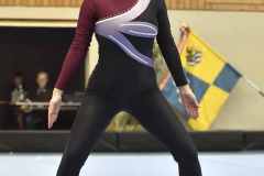 TT-SM_r2_22_032