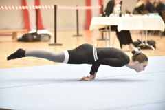TT-SM_r1_23_096