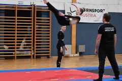 TT-SM_r2_23_241