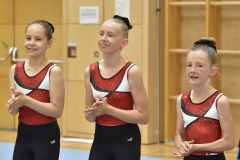 TGC_r4_22_025