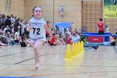 VM2_Hind_25_049