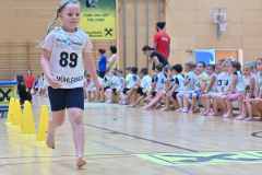 VM2_Hind_25_059