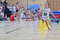 VM2_Hind_25_064