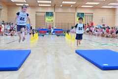 VM2_Hind_25_093