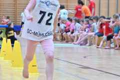 VM2_Hind_25_104