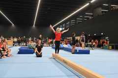 VM1_GA-I_25_039