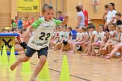 VM_Hind1_26_023