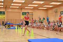 VM_Hind1_26_061
