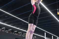 VM_1_r2_24_099