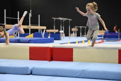 VM_Hin_13_005