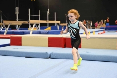 VM_Hin_13_007