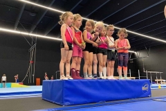 VM_Hin_13_018