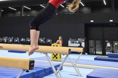 VW_B_r2_21_019