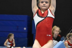 VW_A_21_081