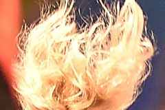 WT_v1_24_077