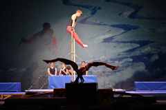 WT_gp_24_040