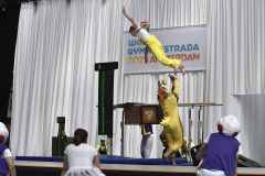 WG_2_23_049