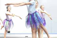 WG_2_23_055