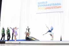WG_2_23_101