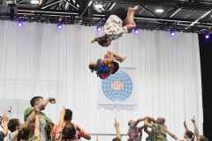WG_2_23_134