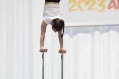 WG_2_23_146