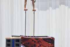WG_2_23_147