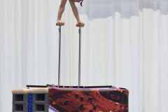 WG_2_23_148