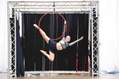 WG_2_23_163