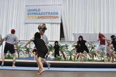 WG_2_23_176