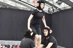 WG_2_23_180