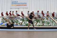 WG_2_23_182