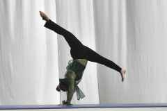 WG_3_23_069