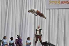 WG_3_23_071