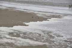 WG_strand_23_015