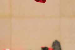 Zimsi_1_23_021