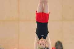 Zimsi_1_23_022