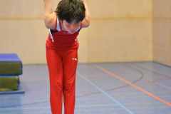 Zimsi_r2_22_043